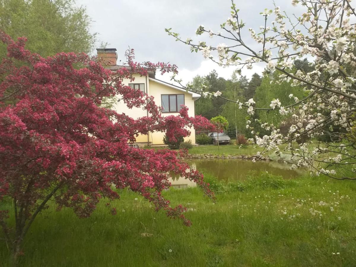 Guest House Pechersky & Sons Dreilini  Bagian luar foto