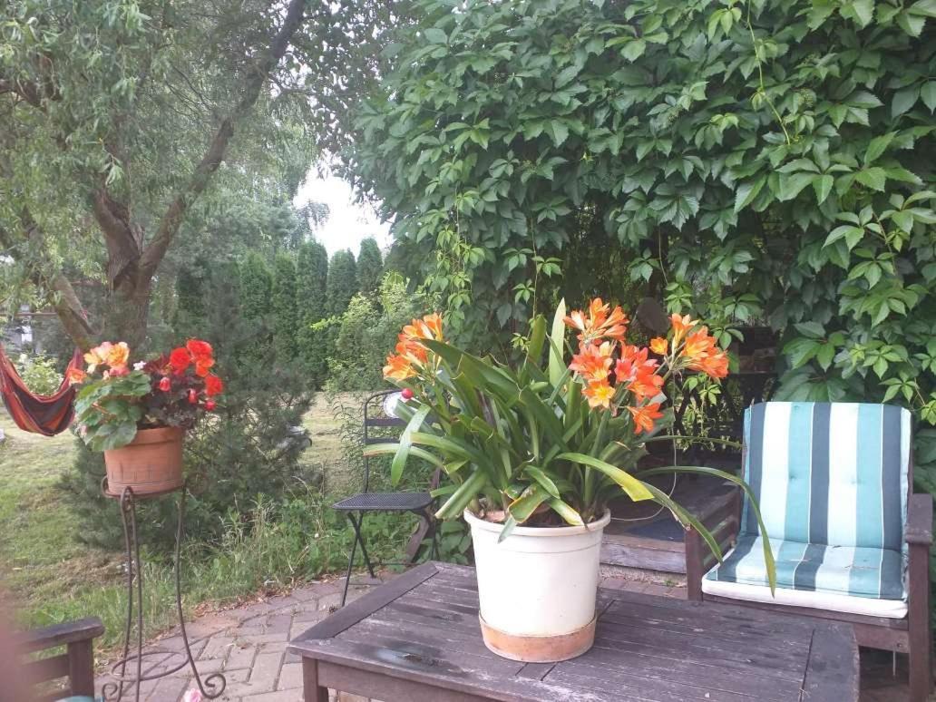 Guest House Pechersky & Sons Dreilini  Bagian luar foto