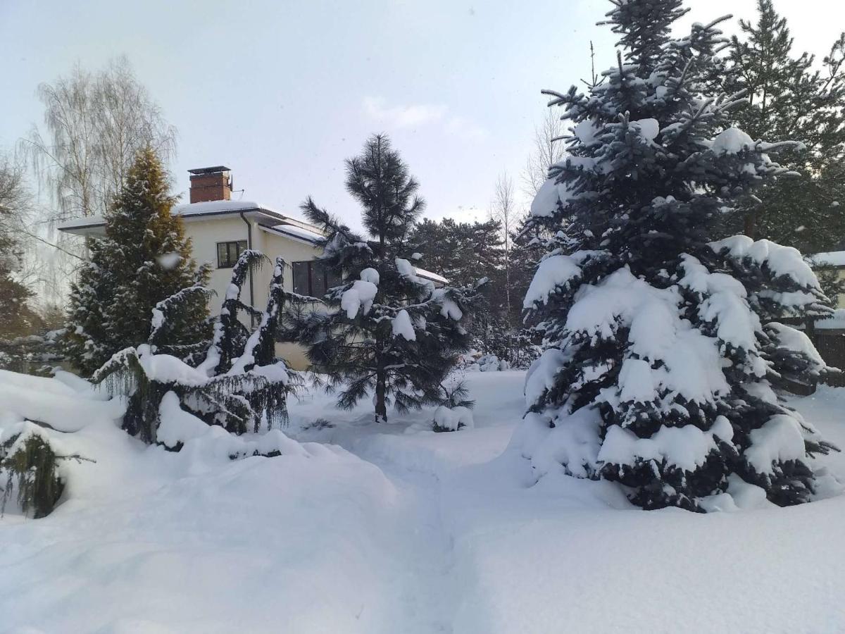 Guest House Pechersky & Sons Dreilini  Bagian luar foto