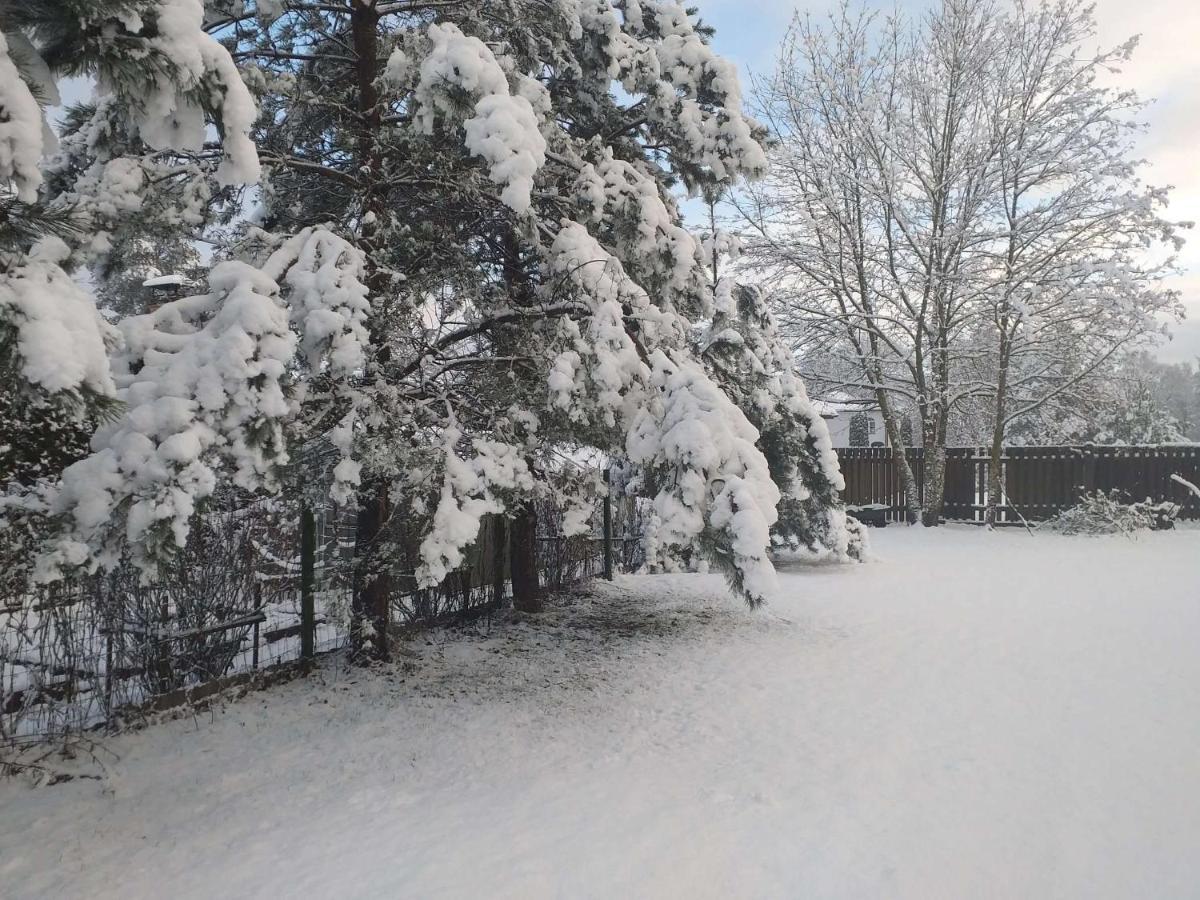 Guest House Pechersky & Sons Dreilini  Bagian luar foto