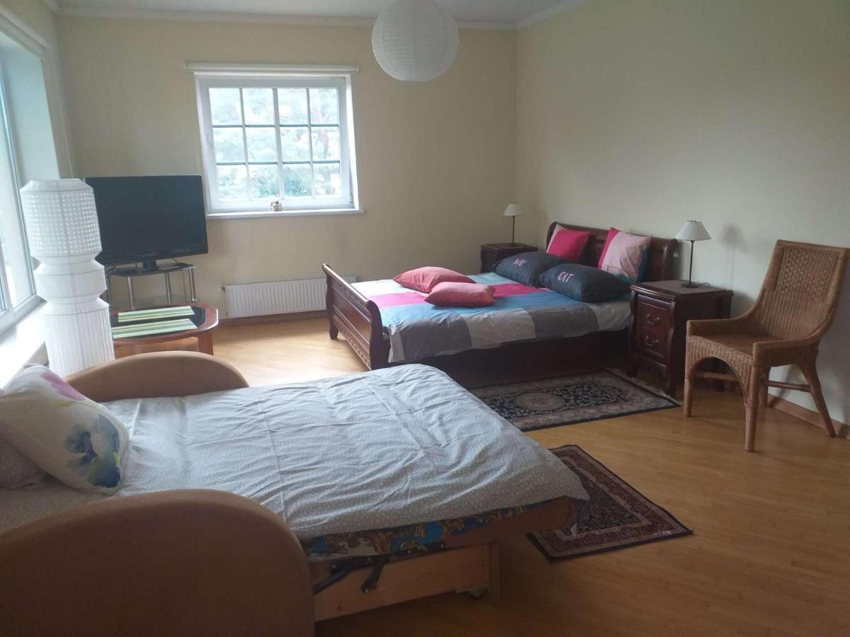 Guest House Pechersky & Sons Dreilini  Bagian luar foto