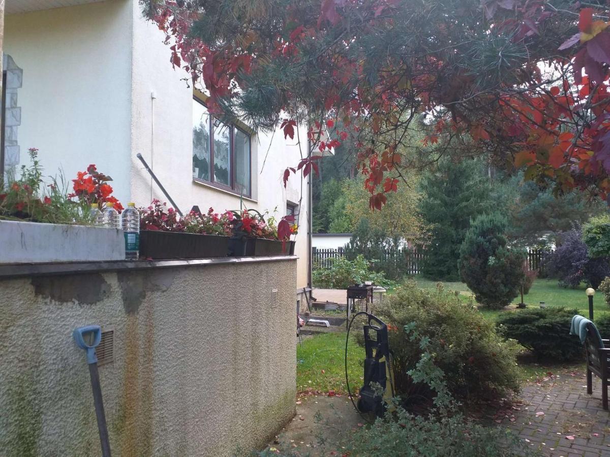 Guest House Pechersky & Sons Dreilini  Bagian luar foto