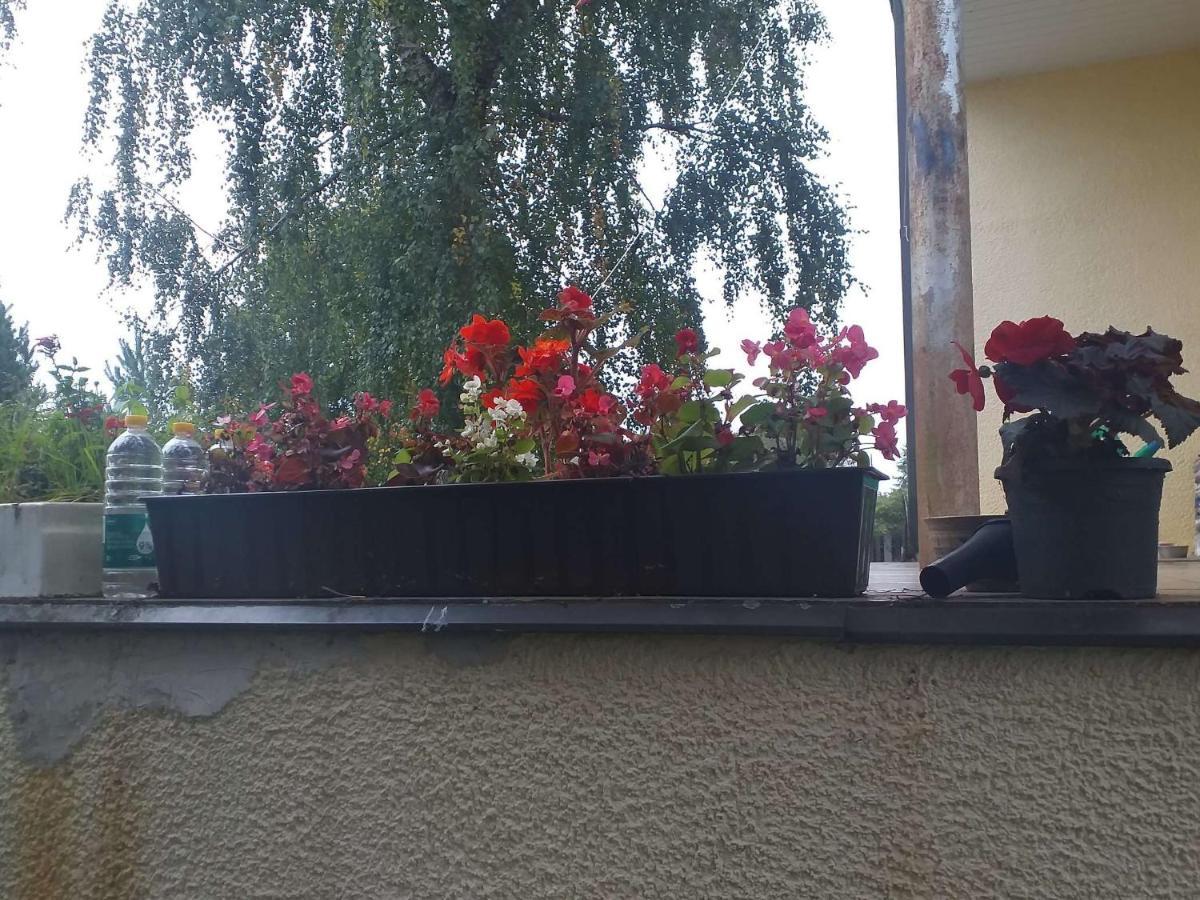 Guest House Pechersky & Sons Dreilini  Bagian luar foto